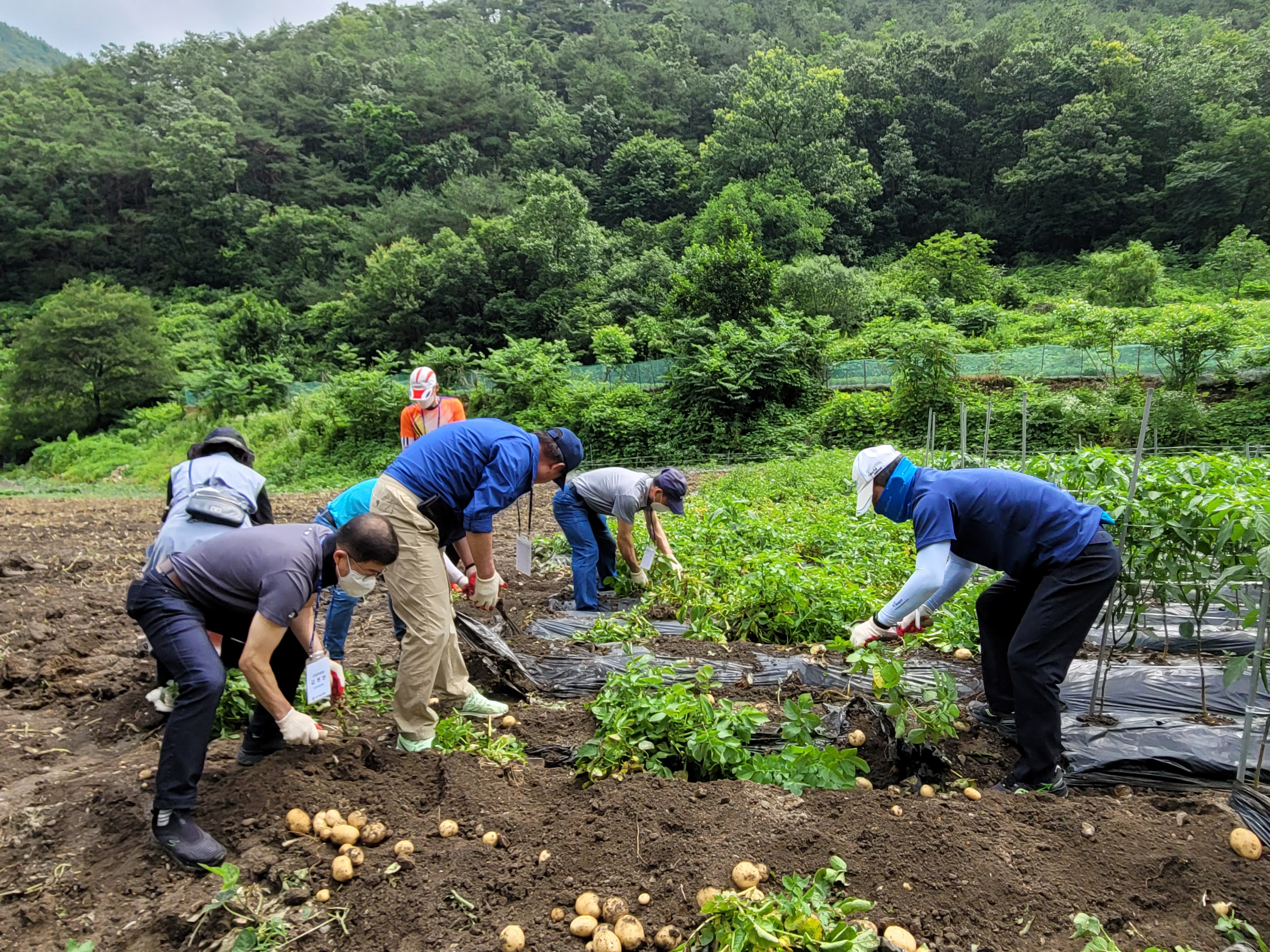 2021 농촌일손돕기