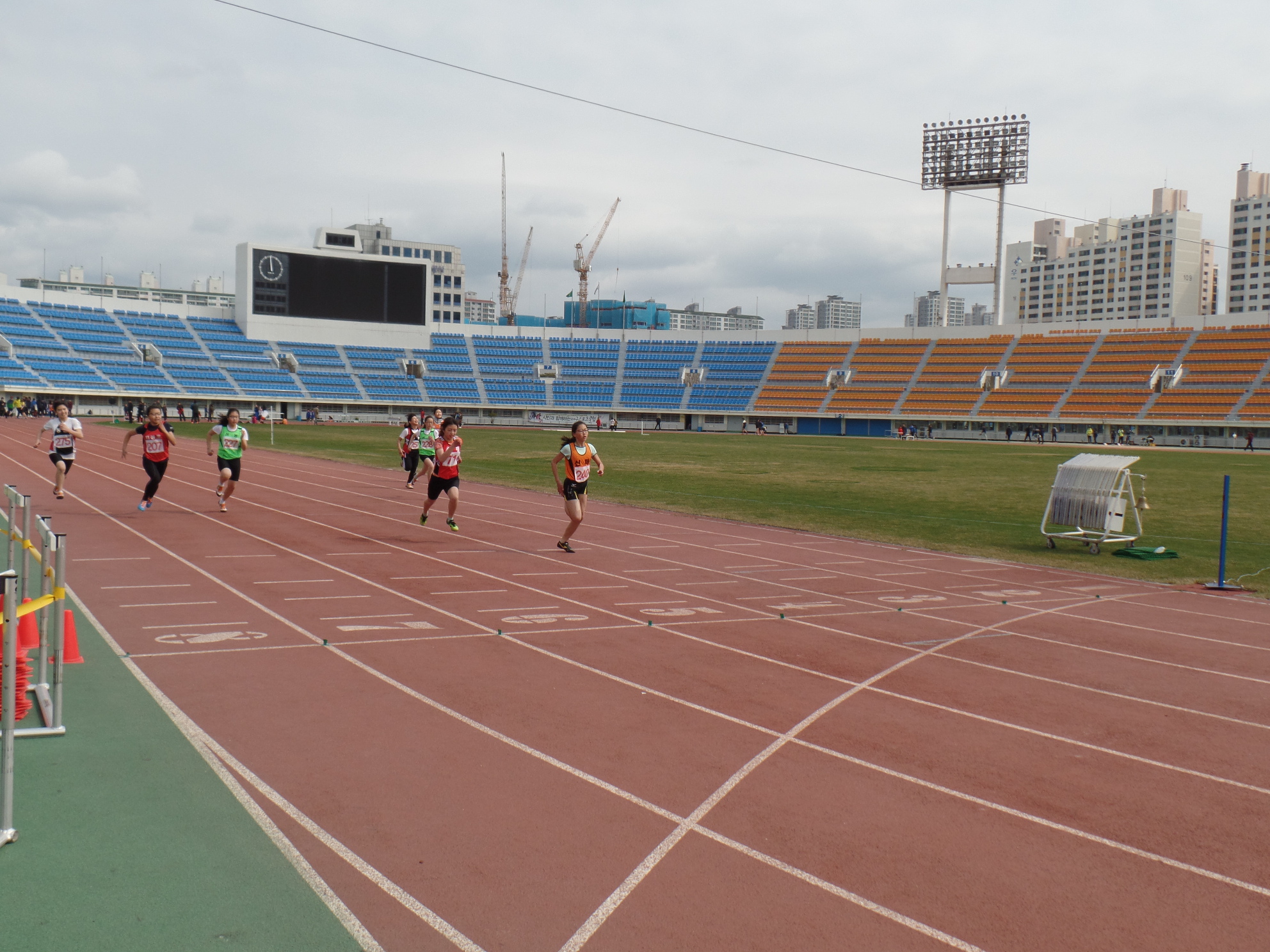 2016 대구광역시소년체육대회